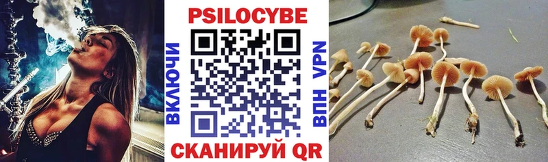 Псилоцибиновые грибы мухоморы  Мураши 