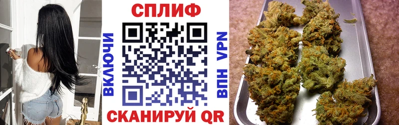 omg как войти  Мураши  Канабис план 